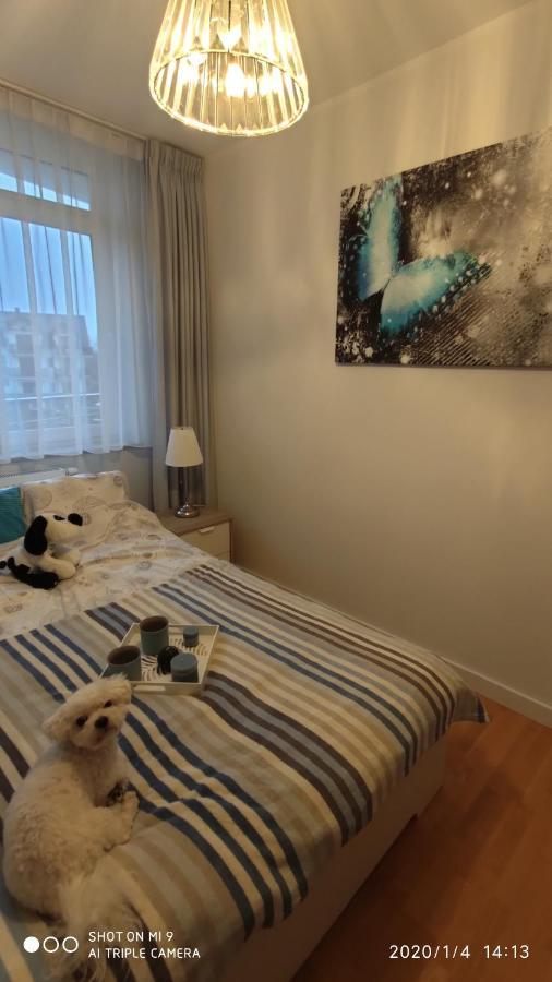 Apartament Fregata Jastrzębia Góra Zewnętrze zdjęcie